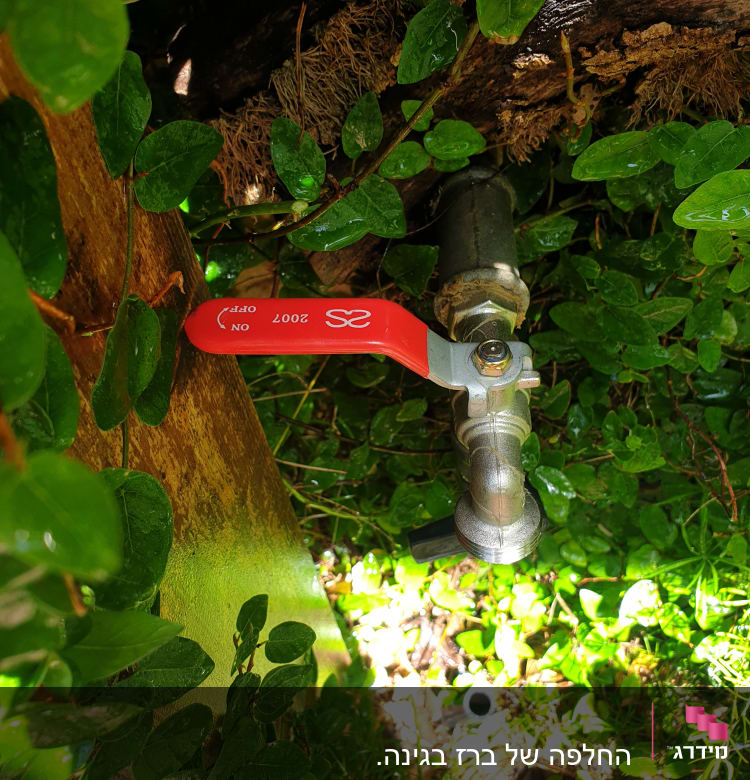 ברז מתכת עם ידית אדומה בין עלים ירוקים